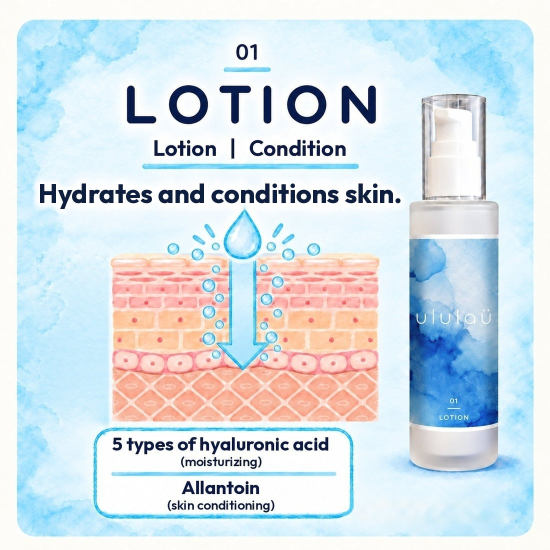 01 Lotion | Hydrates and conditions skin. 5 types of hyaluronic acid (moisturizing), allantoin (skin conditioning)