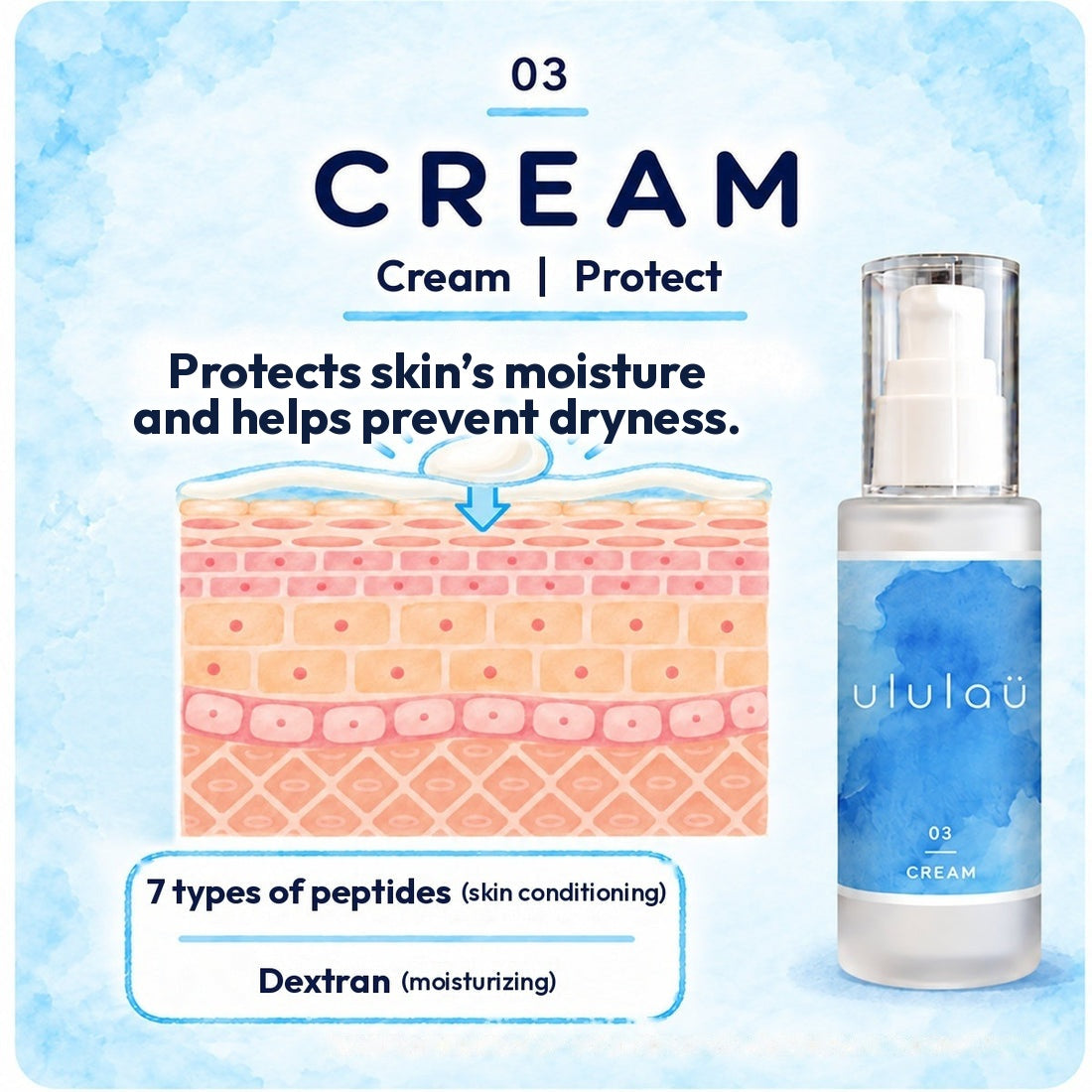 03 Cream | Protects skin’s moisture and helps prevent dryness. 7 types of peptides (skin conditioning), dextran (moisturizing)