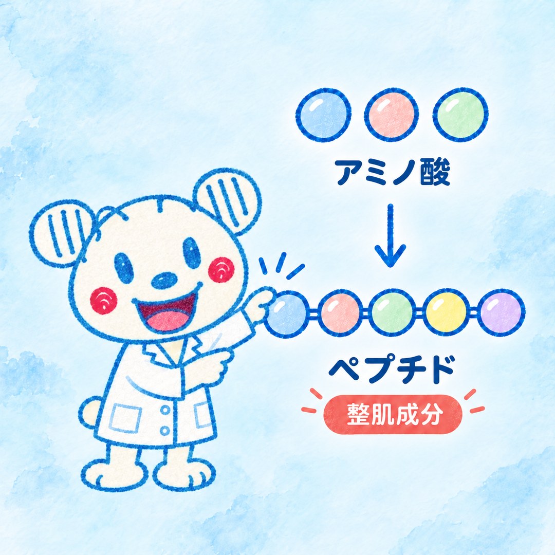 ラウラウが、アミノ酸のビーズがつながってペプチドになる図を指しているイラスト