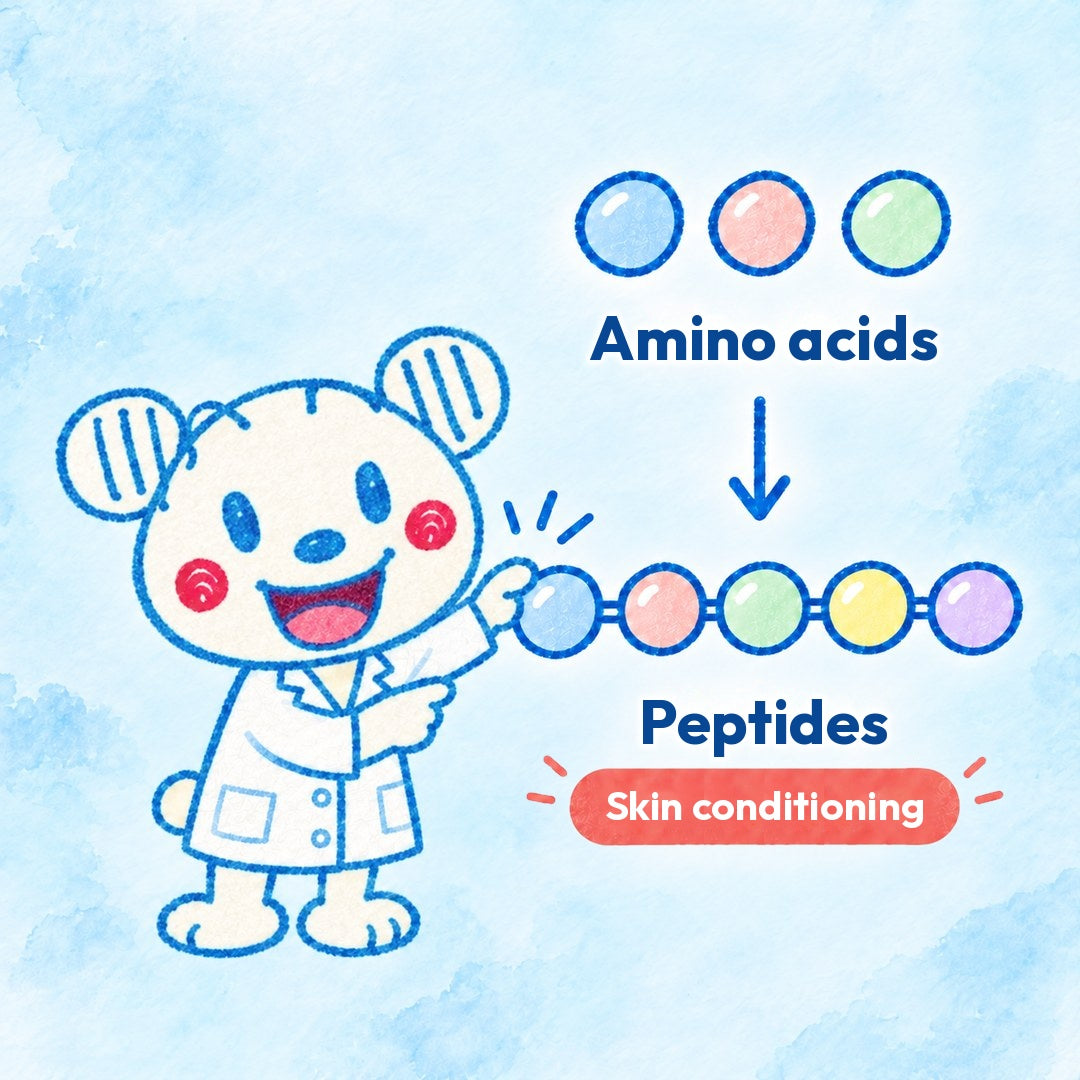 Illustration of LauLau pointing to a diagram of amino-acid beads linking into a peptide